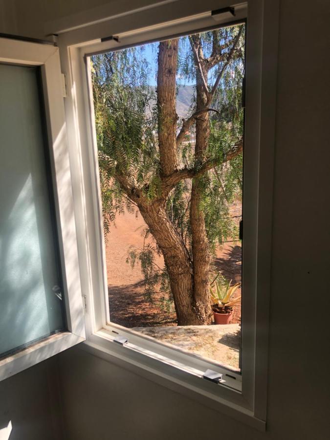 Casita Entre Vinedos, Experiencia Rural, Ideal Ninos. Tegueste Dış mekan fotoğraf