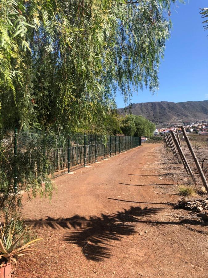 Casita Entre Vinedos, Experiencia Rural, Ideal Ninos. Tegueste Dış mekan fotoğraf