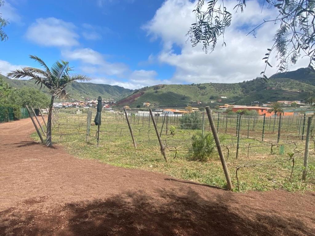 Casita Entre Vinedos, Experiencia Rural, Ideal Ninos. Tegueste Dış mekan fotoğraf