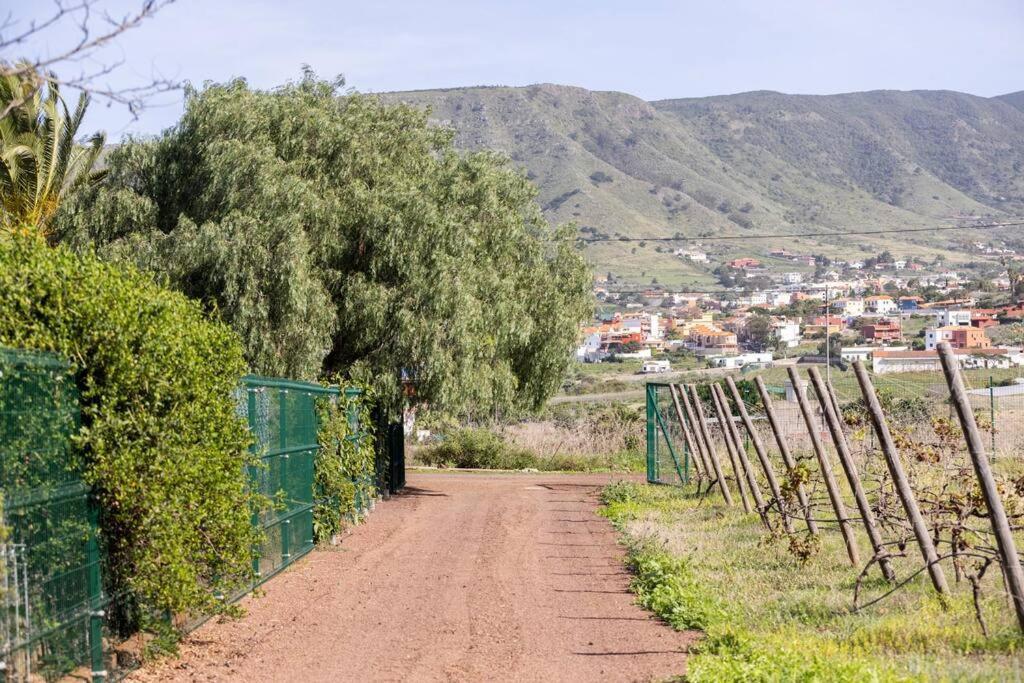 Casita Entre Vinedos, Experiencia Rural, Ideal Ninos. Tegueste Dış mekan fotoğraf