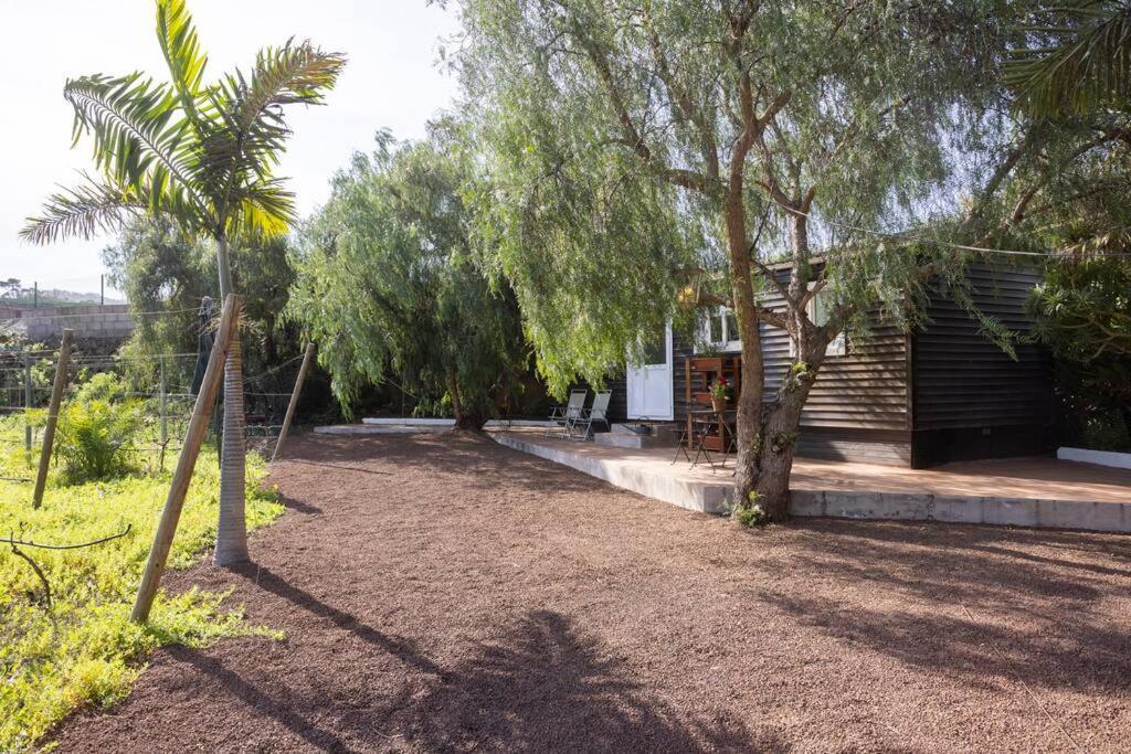 Casita Entre Vinedos, Experiencia Rural, Ideal Ninos. Tegueste Dış mekan fotoğraf